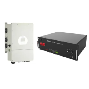 DEYE8K B51100